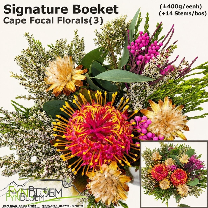 <h4>PROTEA PER BOS</h4>