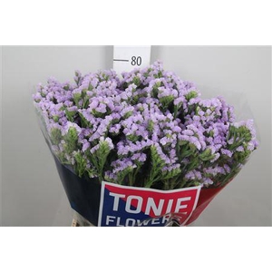 Lim S Tonie Lavender