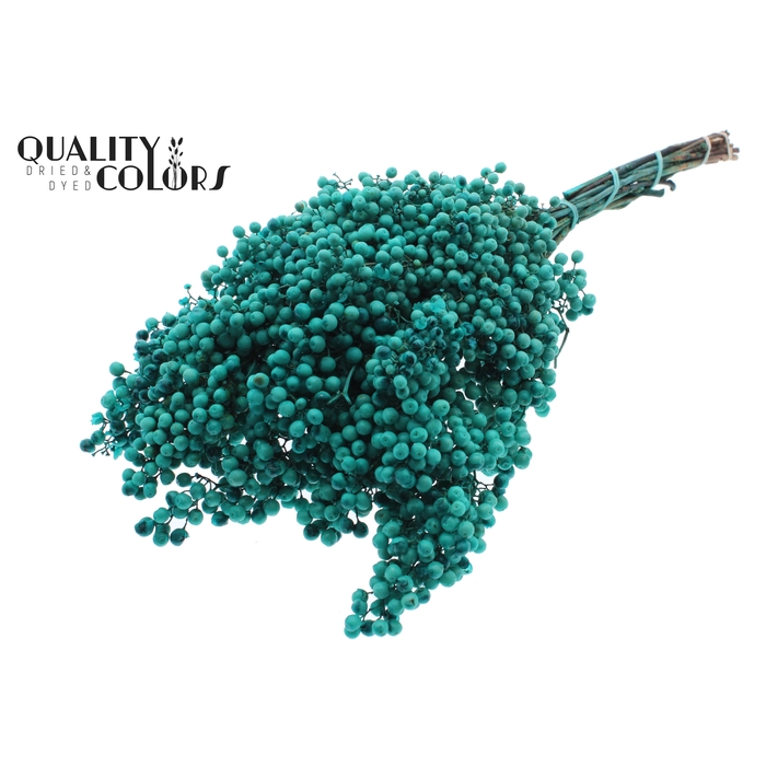 <h4>Pepperberries per bunch in poly Turquoise</h4>