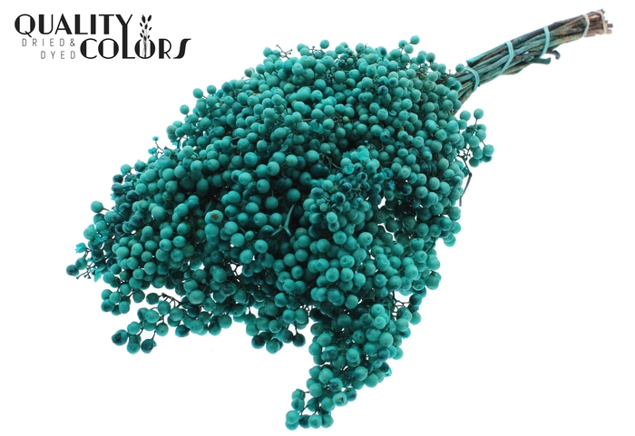 Pepperberries per bunch in poly Turquoise