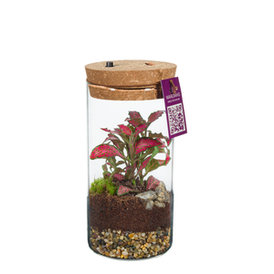 Wardians Terrarium - Sirius medium + LED (rechargeable USB-C )