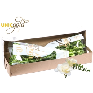 UG Hofland Oranjepolder BV - Volante 2X50 box