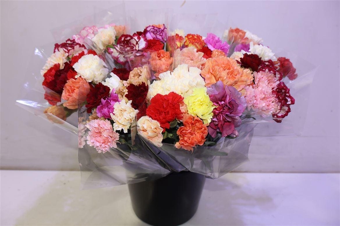 <h4>Di St Gem In Bos</h4>