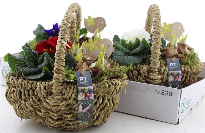 <h4>ARR PL IN SCHAAL</h4>