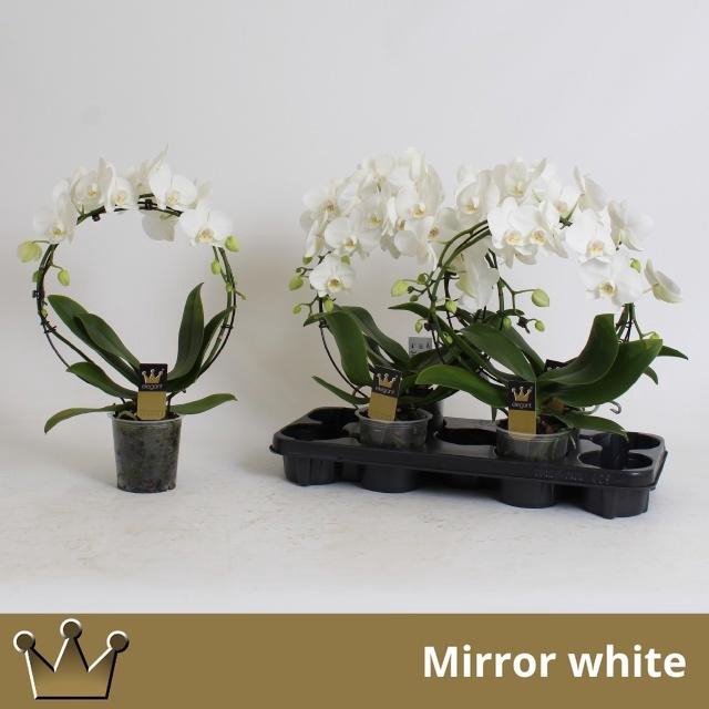 <h4>PHAL EL CASCADE</h4>