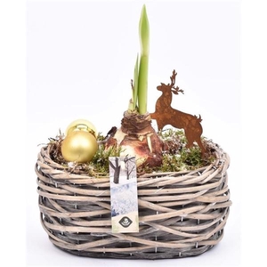 Wilg mand ovaal girjs 22x13cm