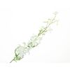 Delphinium White Extra FL440045WHI