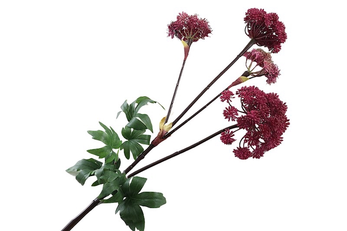 <h4>Angelica Aubergine</h4>