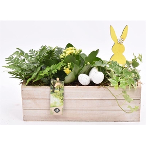 Hout rechthoek 27x9.5 white wash