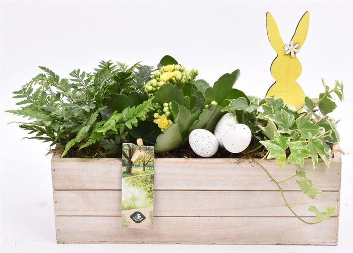 <h4>Hout rechthoek 27x9.5 white wash</h4>