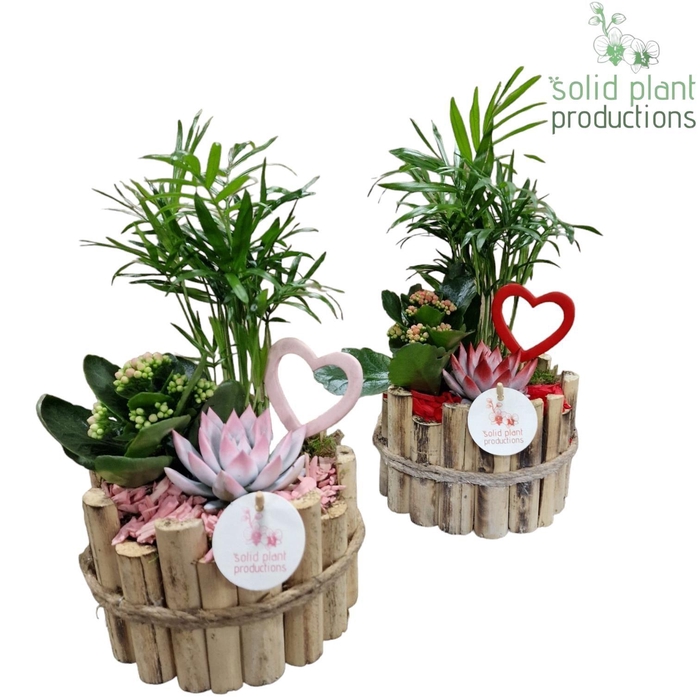 <h4>HVCE001 Milano Small Red/Pink</h4>