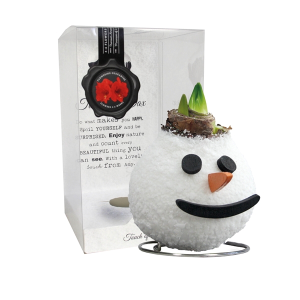 <h4>Amaryllis Red Snowman</h4>