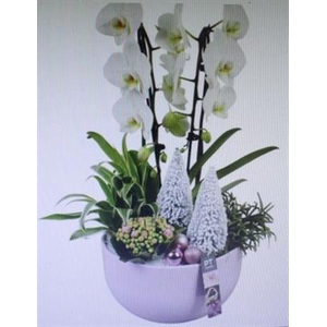 3518 ROZE KER CASCADE