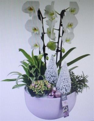 <h4>3518 ROZE KER CASCADE</h4>