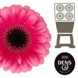 Germini Amelie Diamond