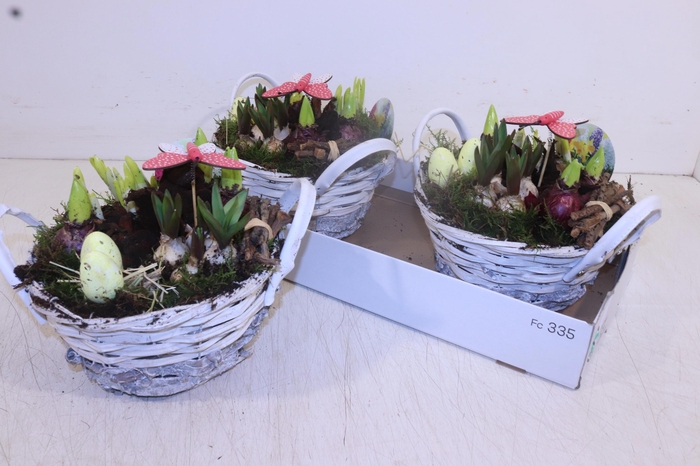 <h4>ARR BOL KNOLGEWAS</h4>