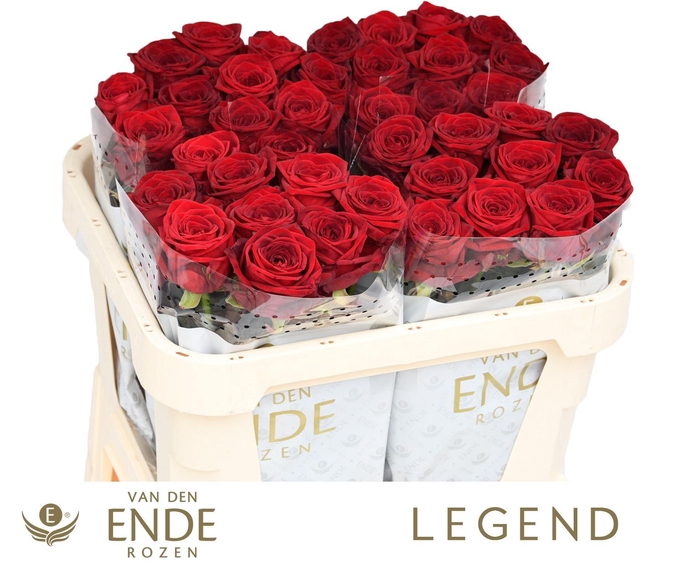 <h4>R GR RED NAOMI!</h4>