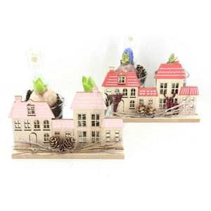 arr4 Hyacint FL - Christmas in the city