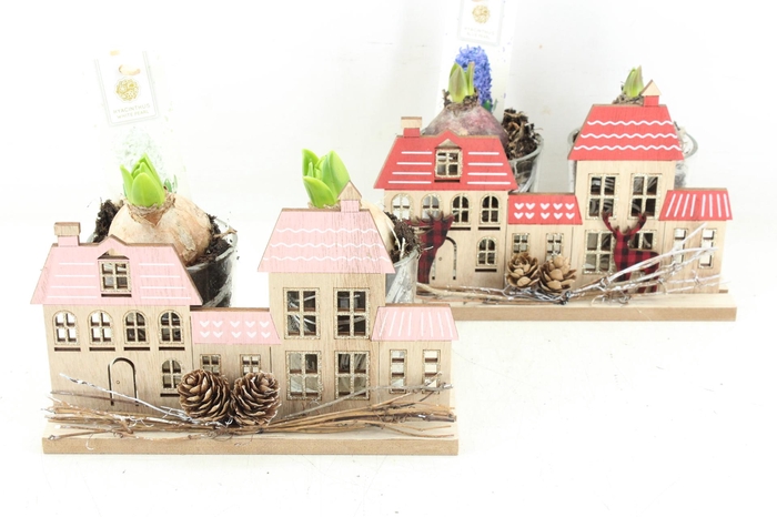 <h4>arr4 Hyacint FL - Christmas in the city</h4>