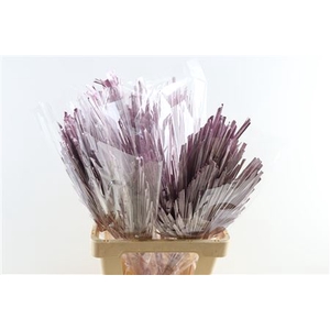 DRY PALM SPEAR MED 5PC METALLIC P