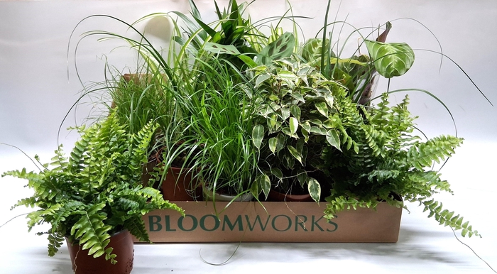 <h4>KAMERPL GEM OV</h4>