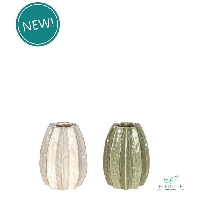 <h4>CARAMBOLA VASE Ø8,5 X H.11 CM 2 ASS CREME/GREEN 6PCS</h4>