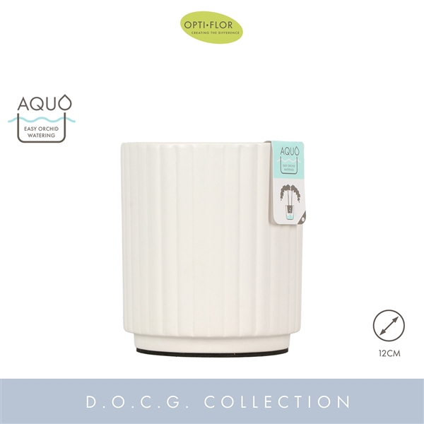 <h4>Molise White 12 cm Aquo</h4>