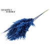 Pampas Grass 100cm 5st/bunch Dark Blue