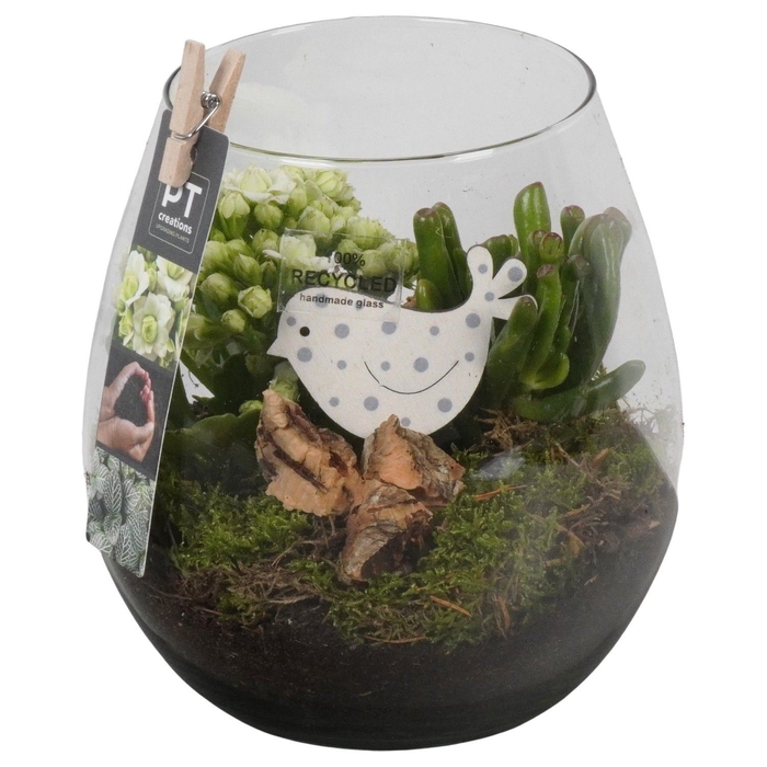 <h4>Arr.   Planten L%</h4>