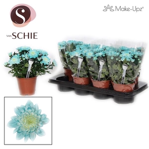 Chrysanne Grandezza Make-Upz® Aqua