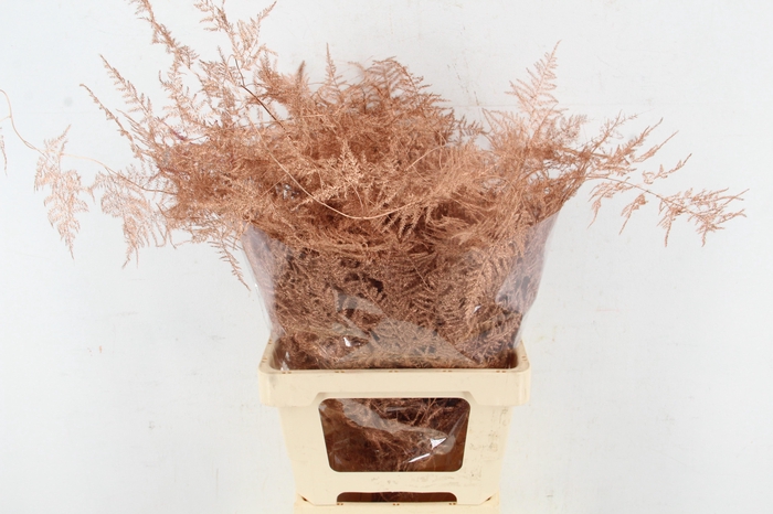 <h4>Asp IT Ex Veren Koper</h4>