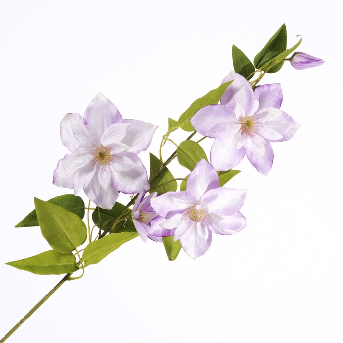 <h4>Clematis Spray Purple FL440354PRP</h4>