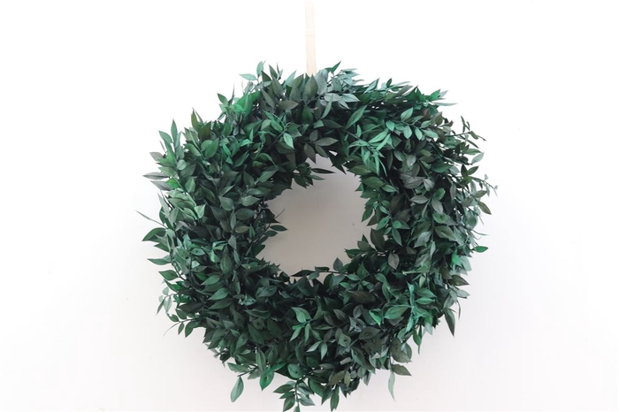 <h4>Wr Pres Ruscus 30cm Green</h4>