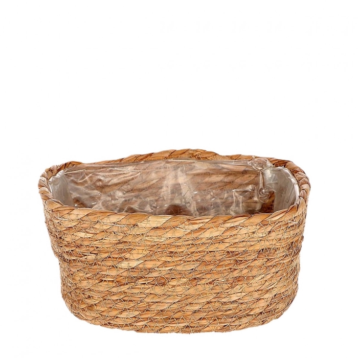<h4>Mandwerk Prime bak 23*17*10cm</h4>
