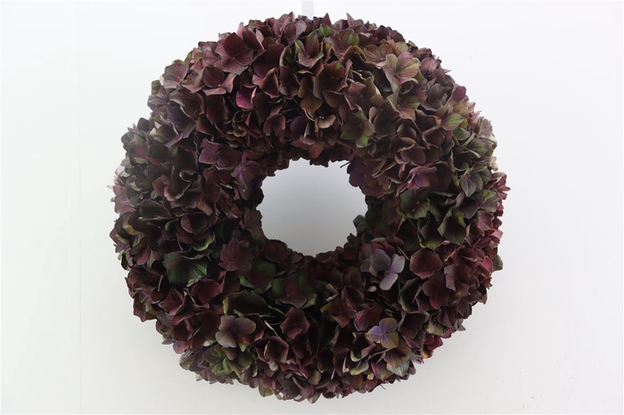 <h4>Wr Hydrangea Chocolate 35cm</h4>