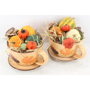 arr4 Sierfruit MB - Kop en schotel herfst