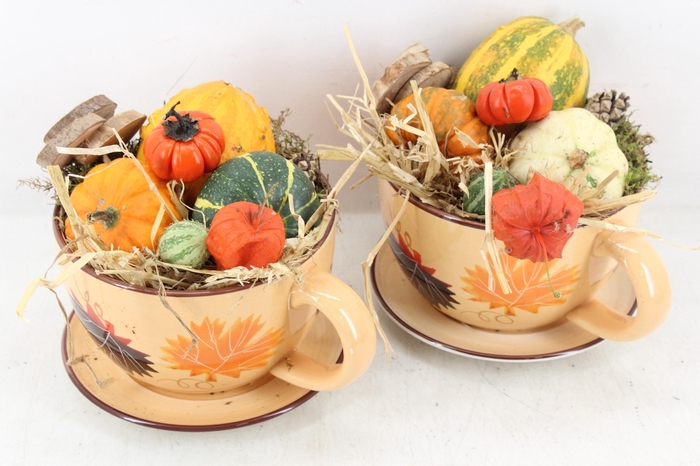 <h4>arr4 Sierfruit MB - Kop en schotel herfst</h4>