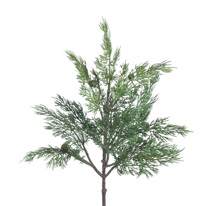 <h4>AF Cypres L57cm Green</h4>