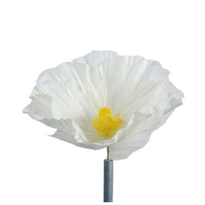 Stem Poppy Flower L50w50h40