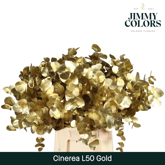 <h4>Cinerea l50 Goud</h4>