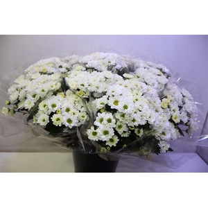 Chr S Rossi White X5
