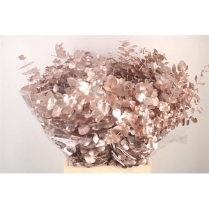 Euca Cin V Champagne 400 Gram