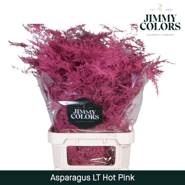 <h4>Aspa lang getopt Hot pink</h4>