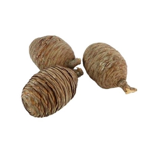 Deco Pinecone Cedar 50pcs L10 Natural