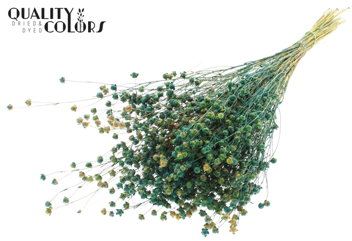 Lino Vlas p/bunch in poly Multicolour Green