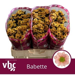 CHR S BABETTE