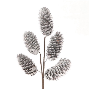 Pine cone Branch Picea pinecone 25cm