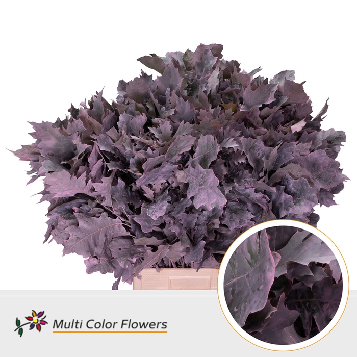 <h4>Eik Grof Frost Rose</h4>