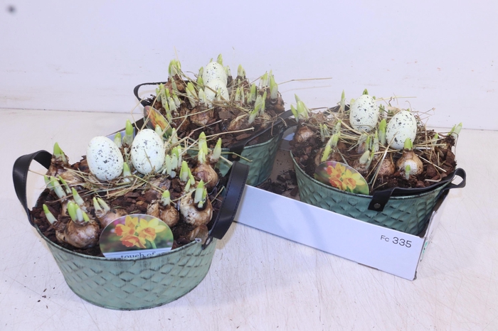 <h4>ARR N TETE A TETE</h4>