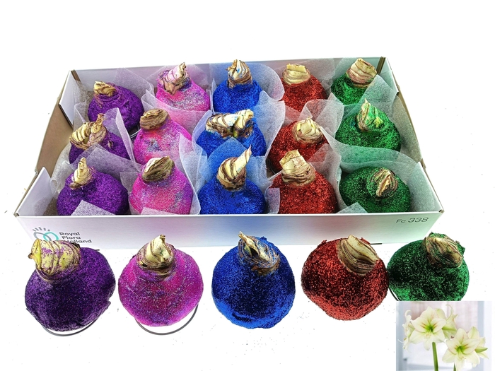 <h4>BLOEMBOL HIPPEASTRUM</h4>